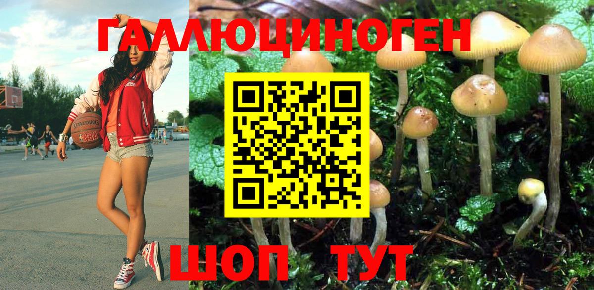 Галлюциногенные грибы мицелий  Вход с VPN  Псилоцибиновые грибы Cubensis  Ивантеевка 